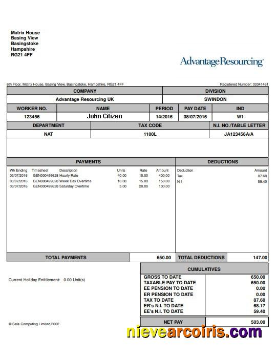 USA ADVANTANGE resourcing paystub